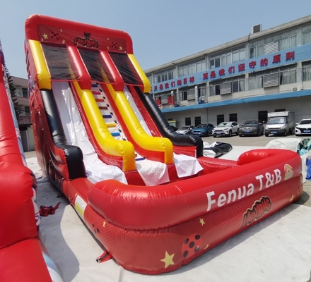 PVC Tarpaulin Beetles Girl Inflatable Water Slides Double Lanes With Pool