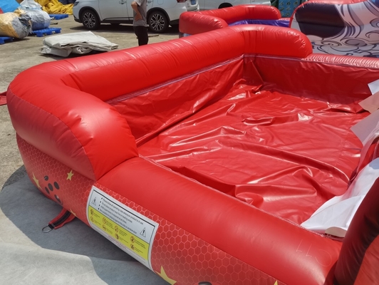 PVC Tarpaulin Beetles Girl Inflatable Water Slides Double Lanes With Pool