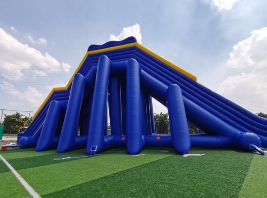 Giant Commercial Inflatable Water Slides Cartoon Theme For Adults