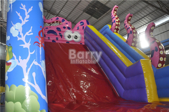 Kids Octopus PVC 0.55mm Inflatable Water Slides Double Lanes
