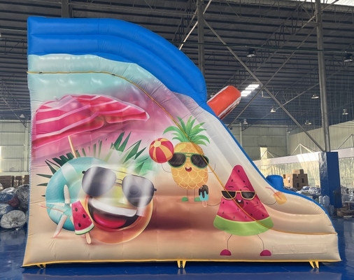 0.55mm PVC Commercial Inflatable Water Slides Renting Inflatable Slides