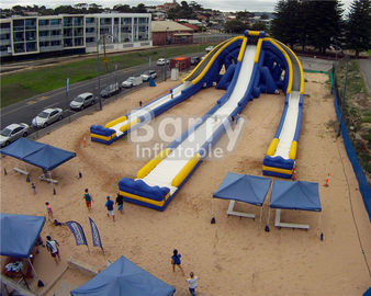 Logo Printed Giant Inflatable Slide , Hippo Three Lanes Inflatable Water Slide