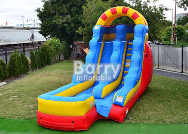 Commercial PVC Outdoor Water Park Slide Inflatable With Customized Logo