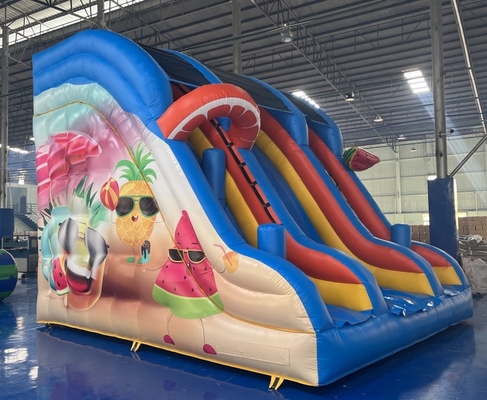 0.55mm PVC Commercial Inflatable Water Slides Renting Inflatable Slides