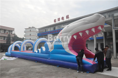 0.55mm PVC Tarpaulin Inflatable Water Slides For Kids , Custom Sharp Inflatable 