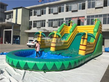 Kids Inflatable Water Slides