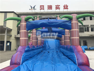 Purple Adult Kids Inflatable Water Slides With Pool , 