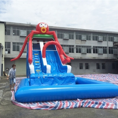 BSCI Outdoor Inflatable Water Slides Customized Size Shape Logo